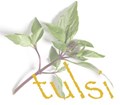 Tulsi Restaurant in Boston, MA