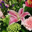 Rainbow Florist & Delectables in Washington, DC