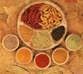 Royal Malabar Catering in Chicago, IL