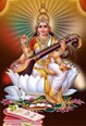 profile image for Saarangam Sangeet Peeth School
