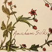 Anicham Silks LLC in Seattle, WA