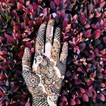 Jazz Henna in Seattle, WA