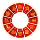 Pandith Rajesh Astrologer in Washington, DC
