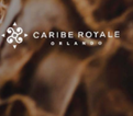 Caribe Royale Wedding in Orlando, FL