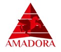 Amadora Insurance in Tampa, FL
