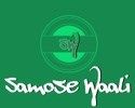 Samosewaali Restaurant in dallas, TX