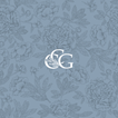 Colina Creative Group in Tampa, FL