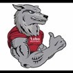 Lobo Moving in Phoenix, AZ