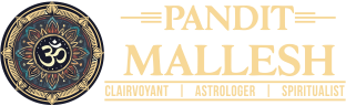 Astrologer Pandit Mallesh in New York, NY