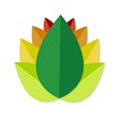 Sai Ayurvedic Institute  in Miami, FL