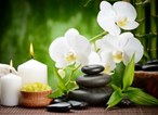 AcuTouch Therapist in Washington, DC