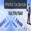 profile image for WhizHub Taxes TAX ITIN FBAR STIMULUS