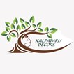 Kalpataru Decors in Birmingham, AL