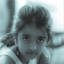 Silicon Photography - Photography/Video in San Jose, CA in San Jose, San Jose