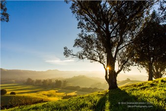 Silicon Photography - Photography/Video in San Jose, CA in San Jose, San Jose