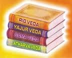 Acharya Rajeshwar Shastri Hindu Vedic Priest
