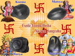 Acharya Laxmikant Sharma International Famed Vedic