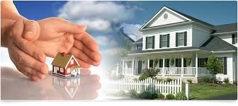 Fevil Patel Real Estate Consultant