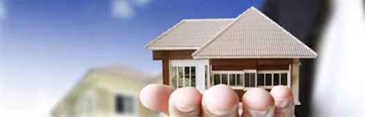 Sekhar Reddy Putta Realtor