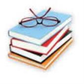 WhizHub Taxes TAX ITIN FBAR STIMULUS