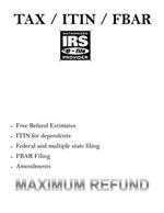 WhizHub Taxes TAX ITIN FBAR STIMULUS