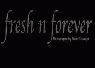 Fresh N Forever Photography