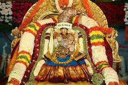 Astrologer And Wedding Priest - Pradeep Archakam