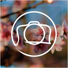 Maya Digital Photography And Video