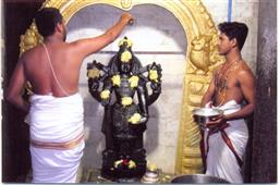 Nithyavibhuthi Freelance Hindu Priest Service