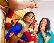 Silicon Photography - Photography/Video in San Jose, CA in San Jose, San Jose