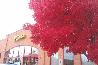 PC Mart