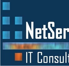 NetServ IT Consulting