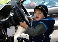 A Plus Driving School
