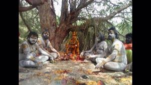 OM Shiva Kali Indian Astrology Center