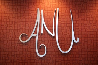 Anu Medical Spa