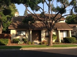 Nirmaljit Kaur Realtor