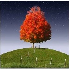 Indian Summer Pictures
