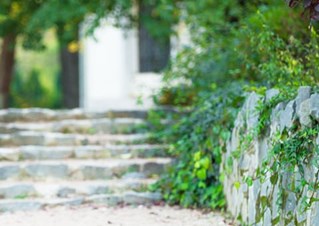 Curb Appeal Lawn And Tree Care