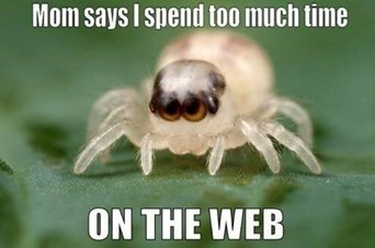 Dynamic Pest Control Llc