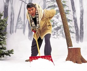 Boston Snow Shovelers
