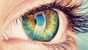 Primary Eye Care Center