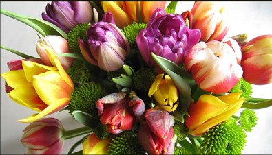 American Florist