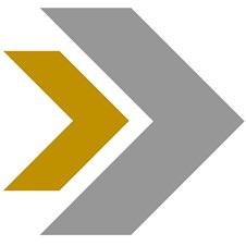 Syed Professional Services