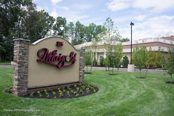 The Marigold