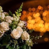 Evenings Of Elegance