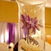 Havmeen Décor
