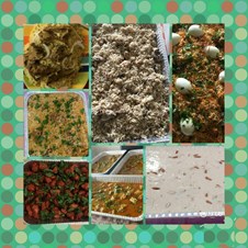 Home Made Hyderabad's Zabiha Halal Food