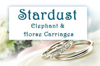 Stardust Elephant And Horse Carriages