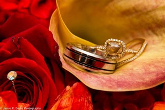 Jamie R. Doyle Photography