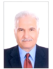 Ibrahim Gurna Insurance Agent